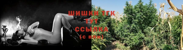 хмурый Балабаново