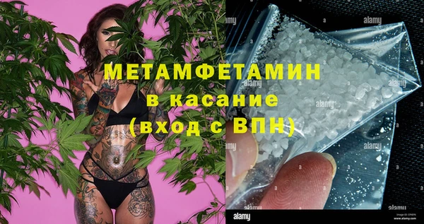 трава Балахна