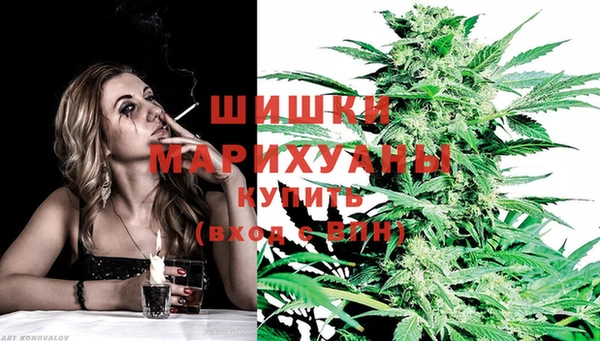 хмурый Балабаново